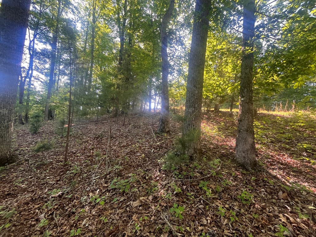 Lot 94 Thirteen Hundred S/D, Blairsville GA 30512 - Photo