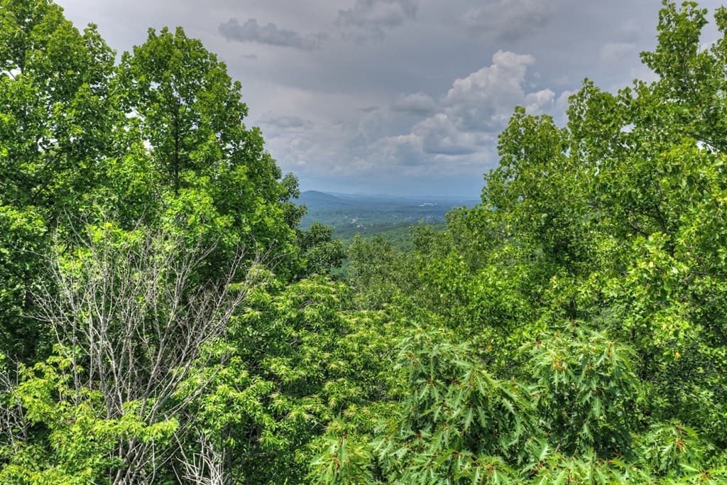 Lot 94 Thirteen Hundred S/D, Blairsville GA 30512 - Photo