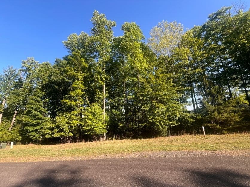 Lot 94 Thirteen Hundred S/D, Blairsville GA 30512 - Photo