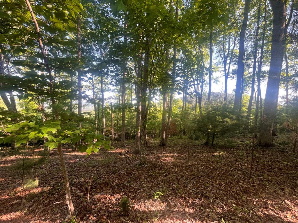 Lot 94 Thirteen Hundred S/D, Blairsville GA 30512 - Photo