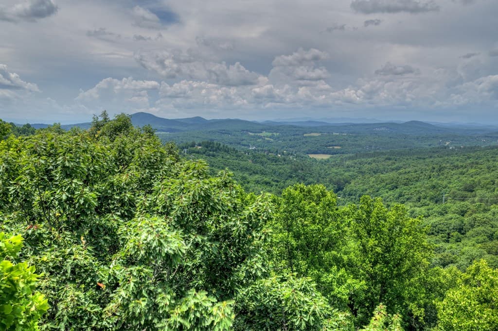 Lot 94 Thirteen Hundred S/D, Blairsville GA 30512 - Photo