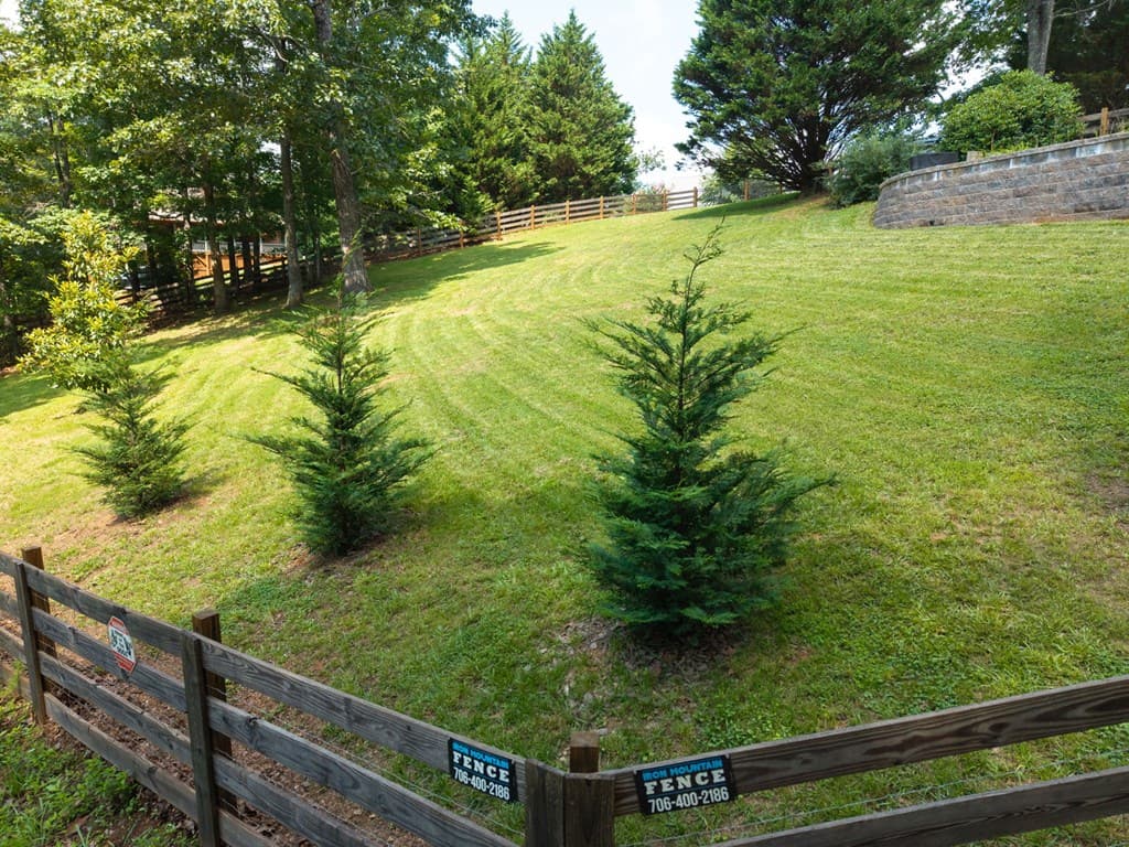 225 Skyland Trail, Murphy NC 28906 - Photo