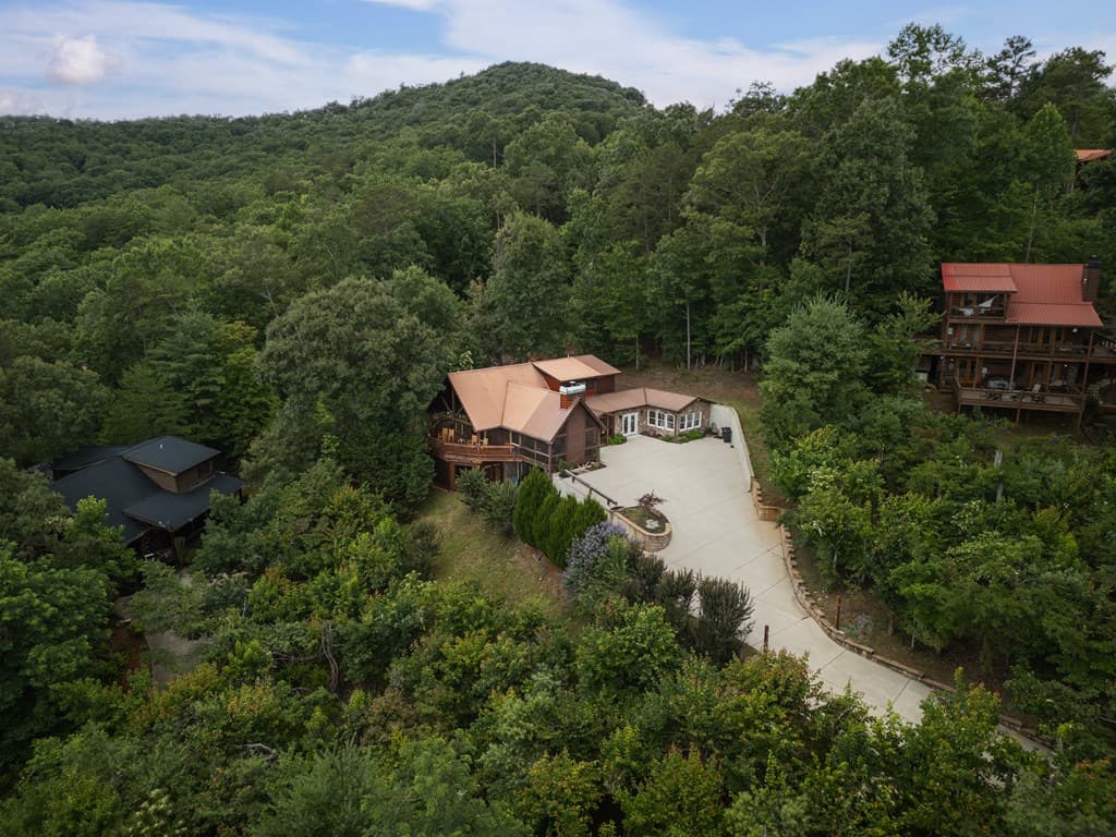 115 Necowa Cove Overlook, Blue Ridge GA 30513 - Photo