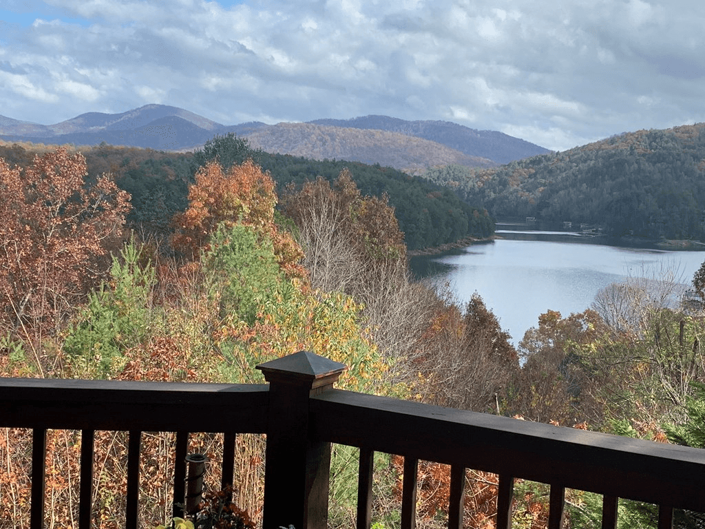 115 Necowa Cove Overlook, Blue Ridge GA 30513 - Photo