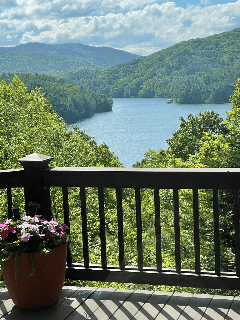 115 Necowa Cove Overlook, Blue Ridge GA 30513 - Photo