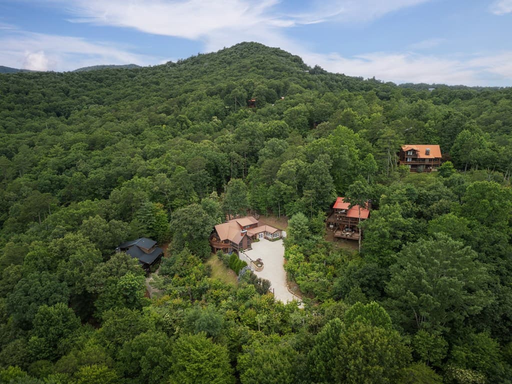 115 Necowa Cove Overlook, Blue Ridge GA 30513 - Photo
