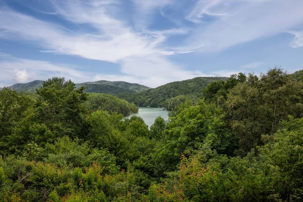 115 Necowa Cove Overlook, Blue Ridge GA 30513 - Photo