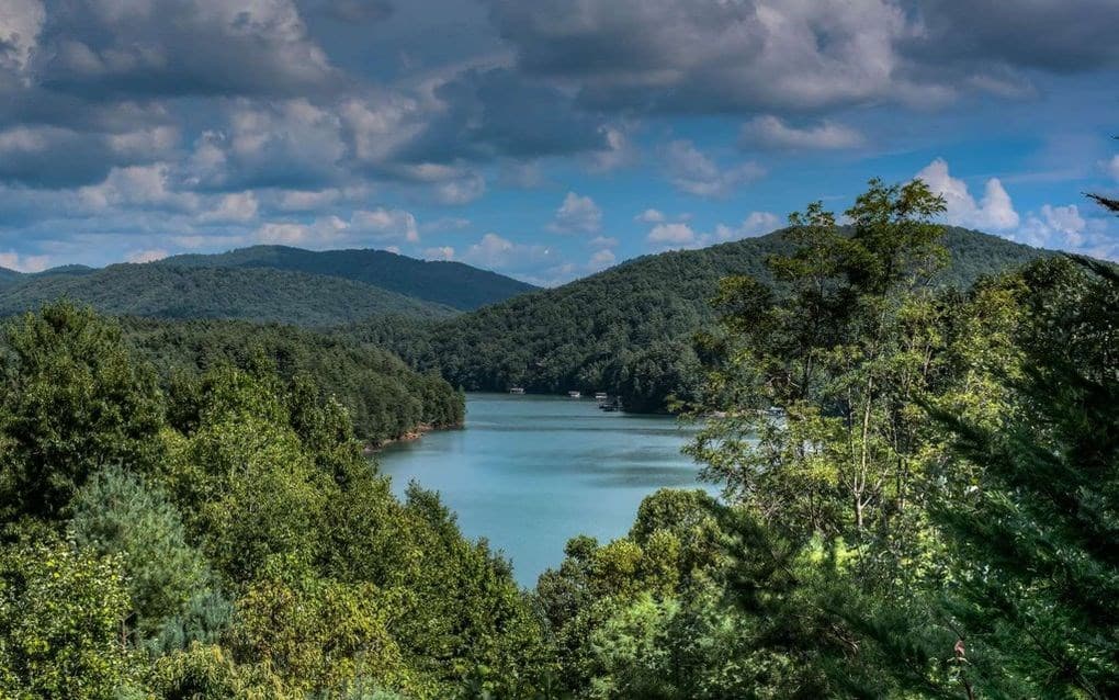 115 Necowa Cove Overlook, Blue Ridge GA 30513 - Photo