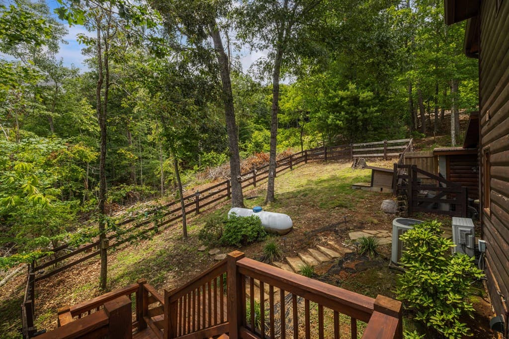 115 Necowa Cove Overlook, Blue Ridge GA 30513 - Photo