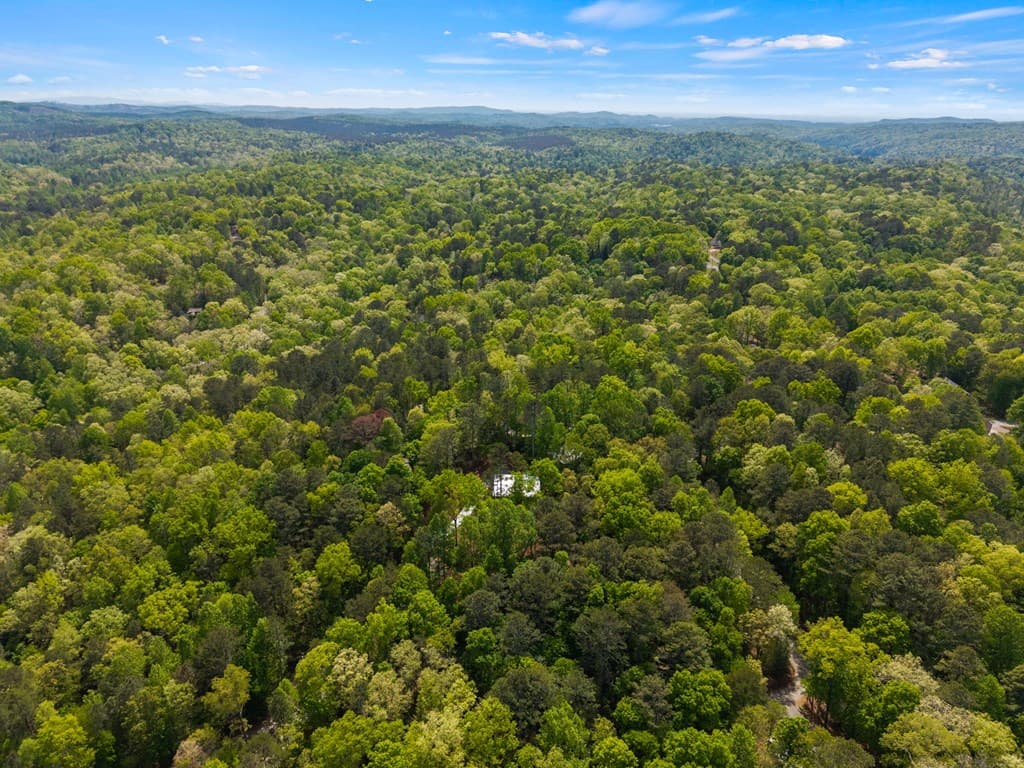52 Otto Court, Ellijay GA 30540 - Photo