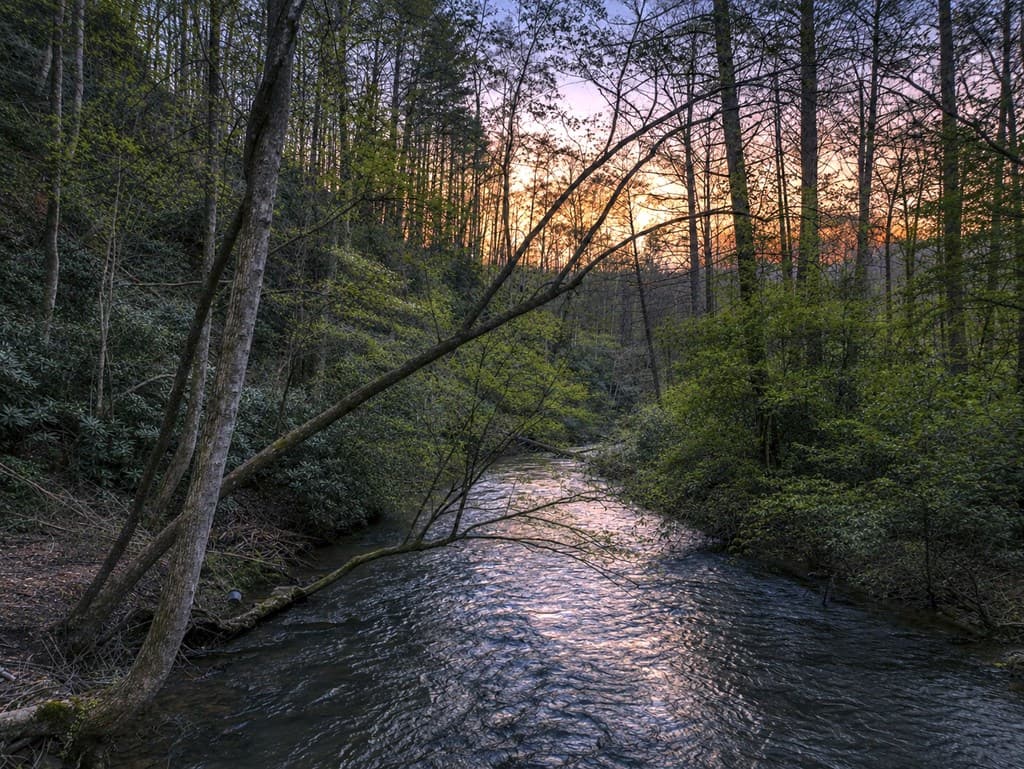 58 River Road, Cherry Log GA 30522 - Photo