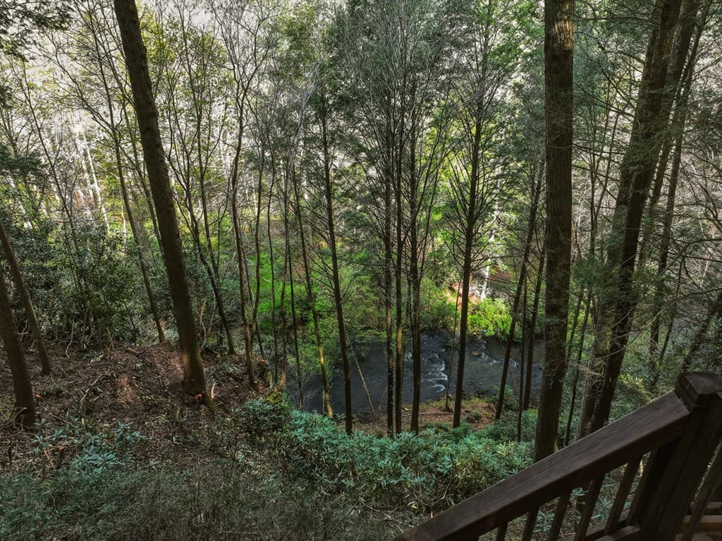 58 River Road, Cherry Log GA 30522 - Photo