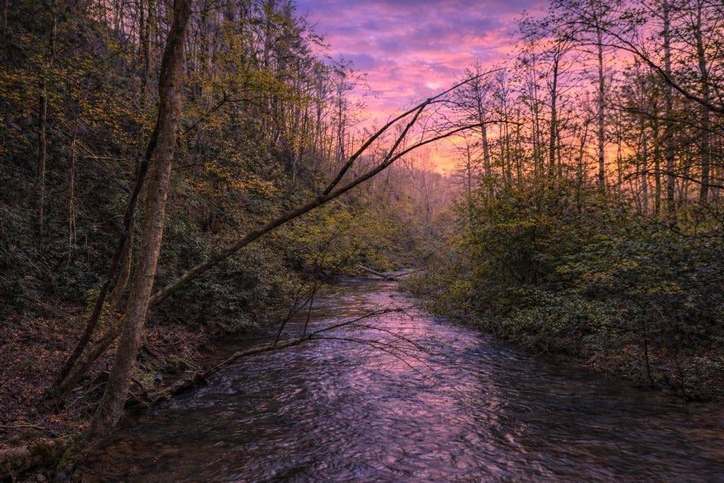 58 River Road, Cherry Log GA 30522 - Photo