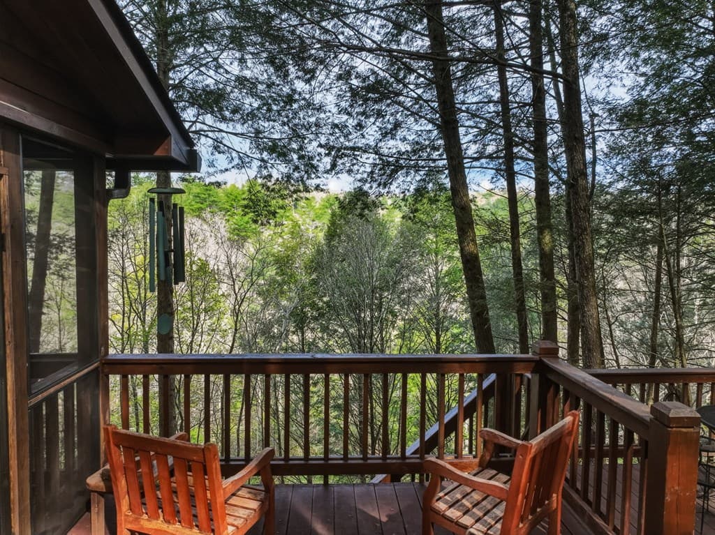 58 River Road, Cherry Log GA 30522 - Photo