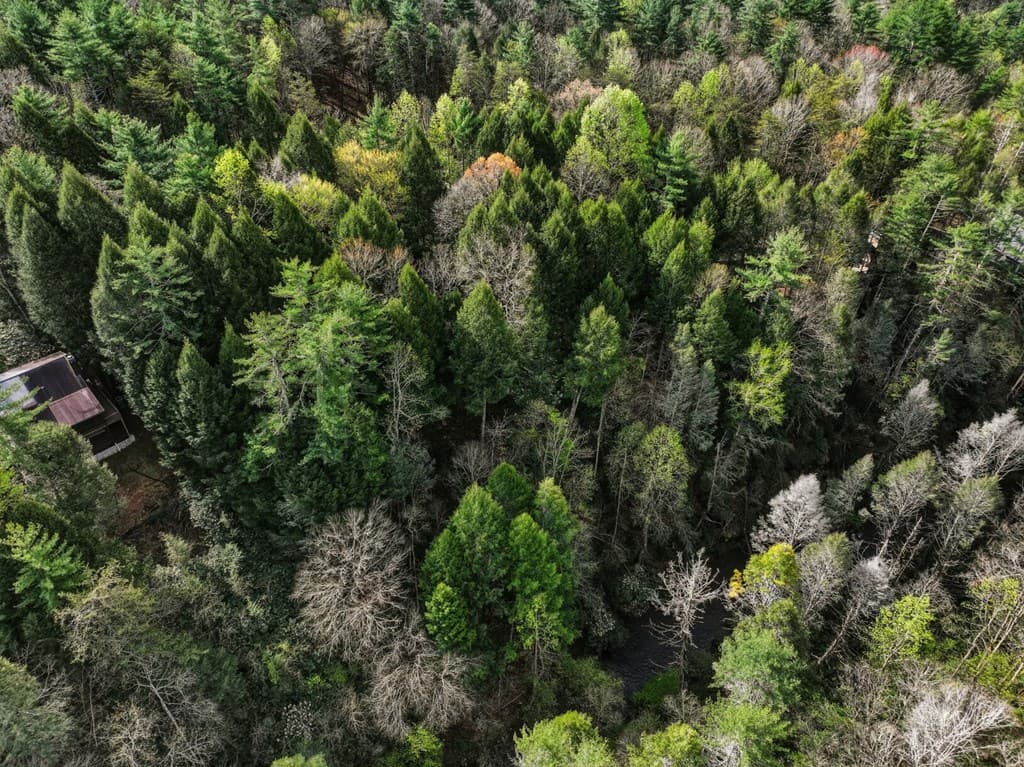 58 River Road, Cherry Log GA 30522 - Photo