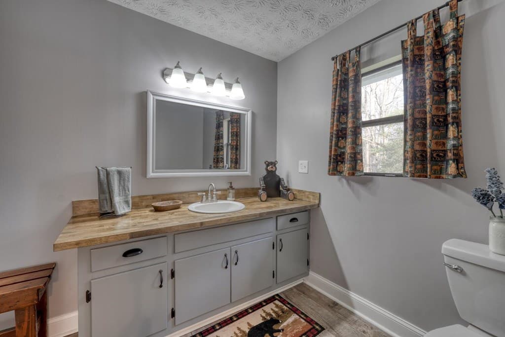 399 Pack Creek Road, Blue Ridge GA 30513 - Photo