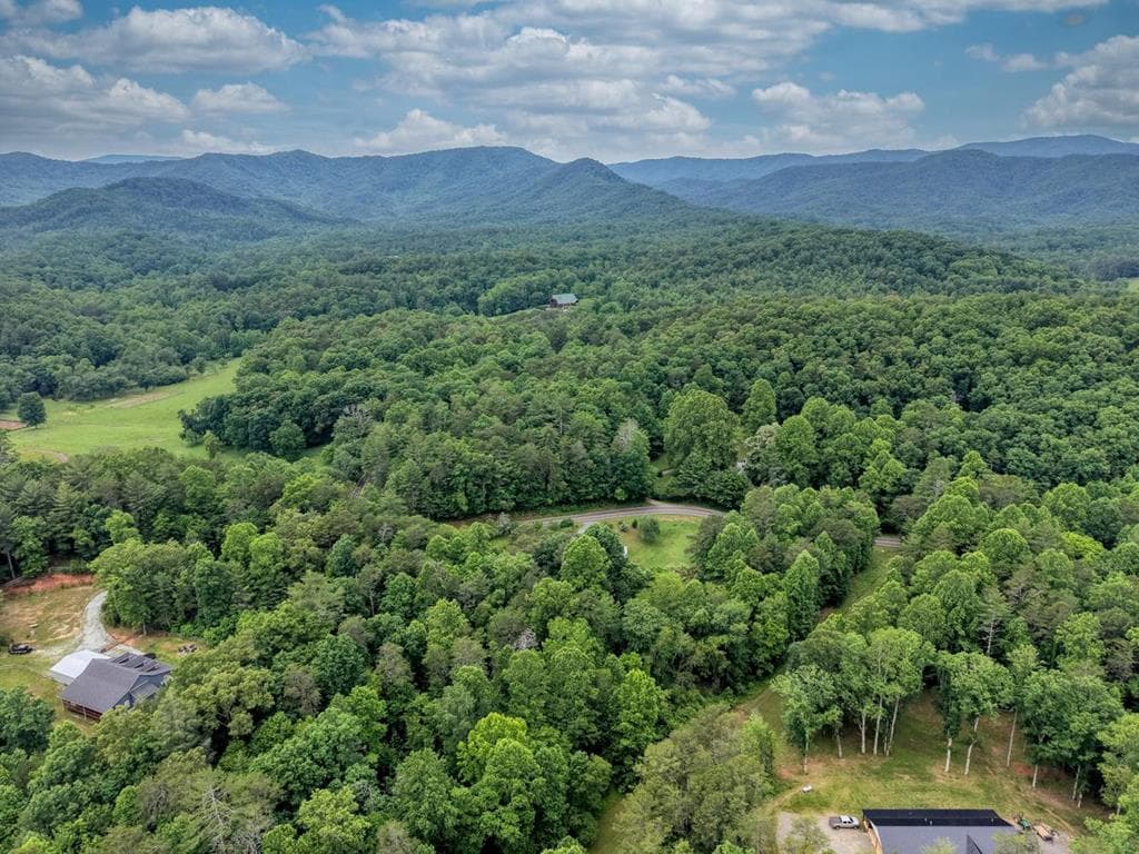 399 Pack Creek Road, Blue Ridge GA 30513 - Photo