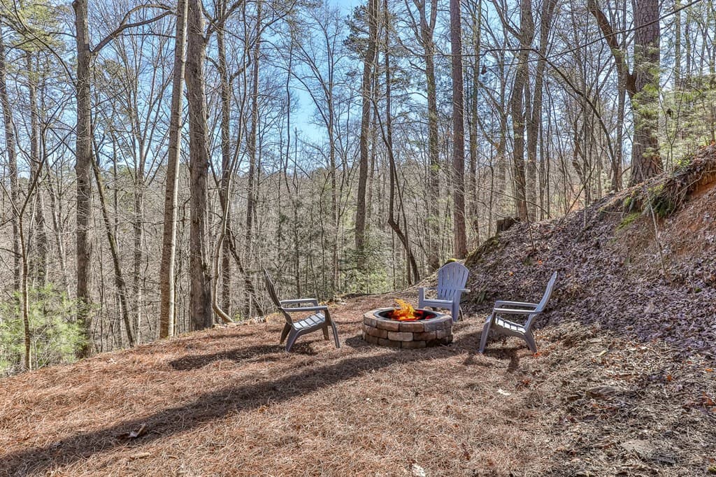 56 Olaf Court, Ellijay GA 30540 - Photo
