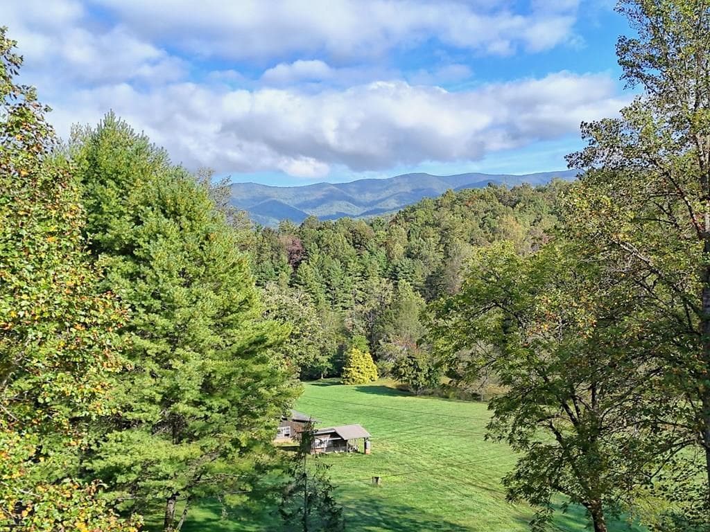 206 Peckerwood Road, Hayesville NC 28904 - Photo