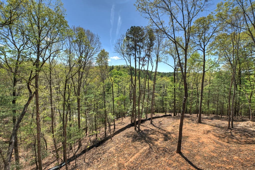 394 Blackberry Circle, Ellijay GA 30536 - Photo