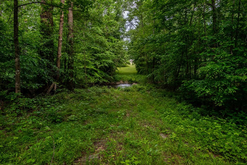 4.5 AC Hickory Flat Highway, Woodstock GA 30188 - Photo