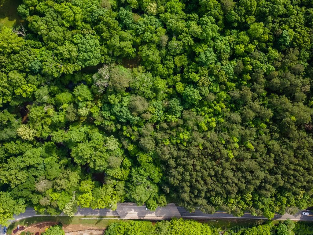 4.5 AC Hickory Flat Highway, Woodstock GA 30188 - Primary photo