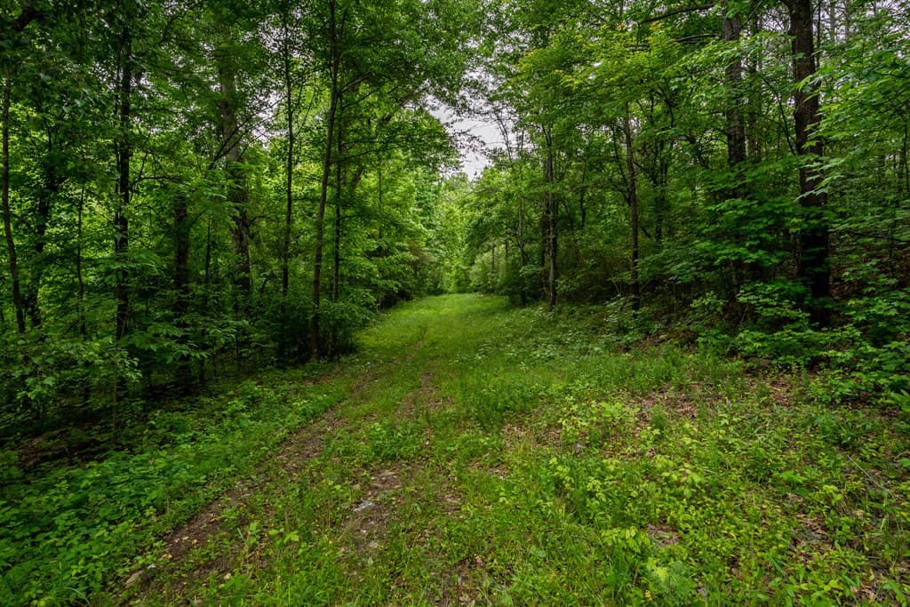 4.5 AC Hickory Flat Highway, Woodstock GA 30188 - Photo