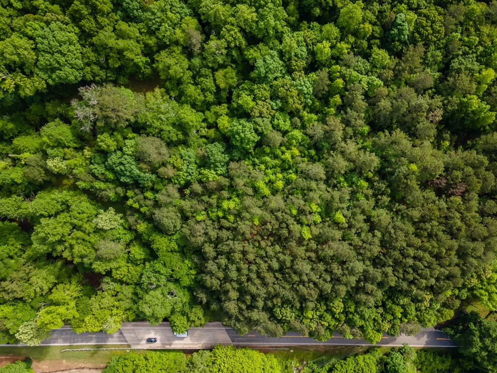 4.5 AC Hickory Flat Highway, Woodstock GA 30188 - Photo