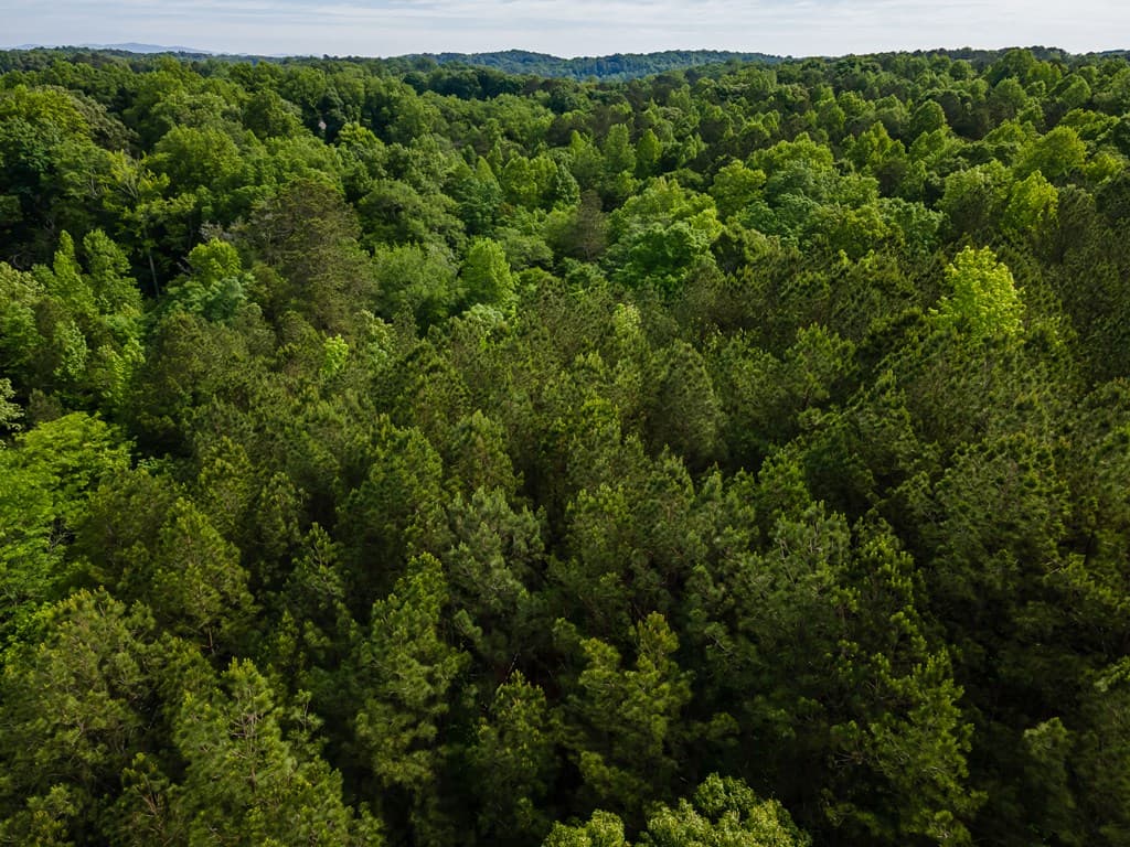 4.5 AC Hickory Flat Highway, Woodstock GA 30188 - Photo