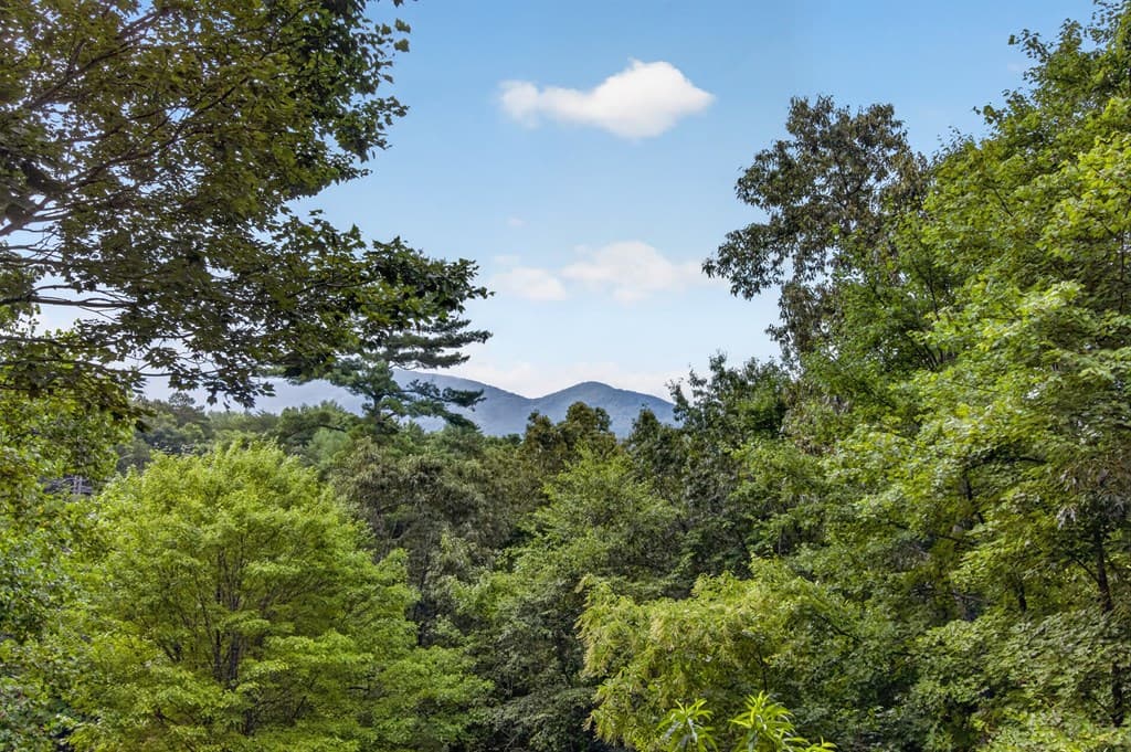 293 Weoka Court, Ellijay GA 30540 - Photo