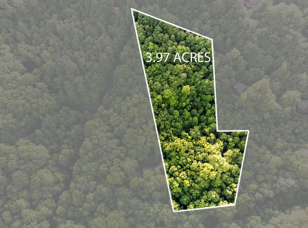 Lot 18 Cub Trail, Cherry Log GA 30522 - Photo