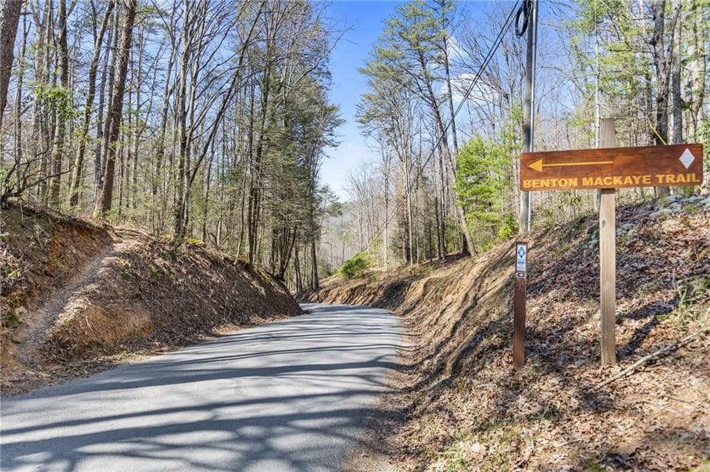 Lot 18 Cub Trail, Cherry Log GA 30522 - Photo