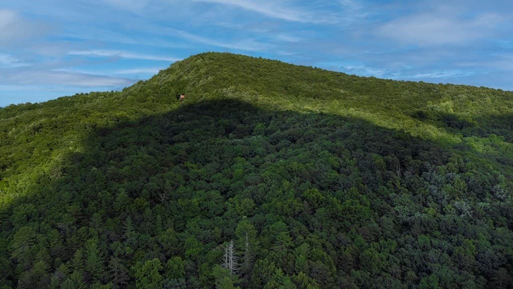 Lot 18 Cub Trail, Cherry Log GA 30522 - Photo