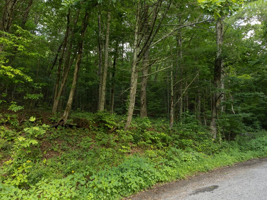 Lot 18 Cub Trail, Cherry Log GA 30522 - Photo
