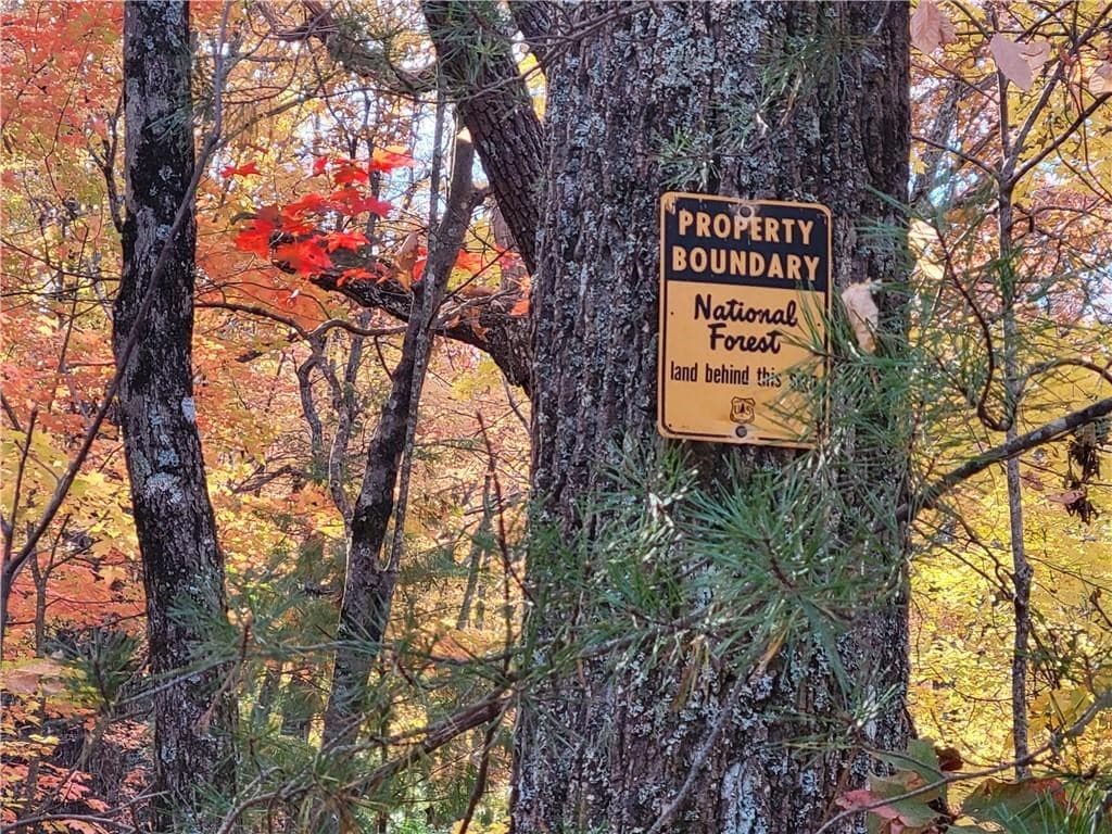 Lot 18 Cub Trail, Cherry Log GA 30522 - Photo