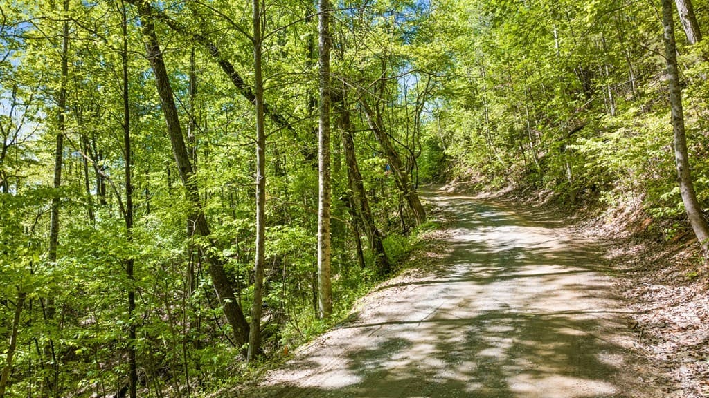 Lot 18 Cub Trail, Cherry Log GA 30522 - Photo