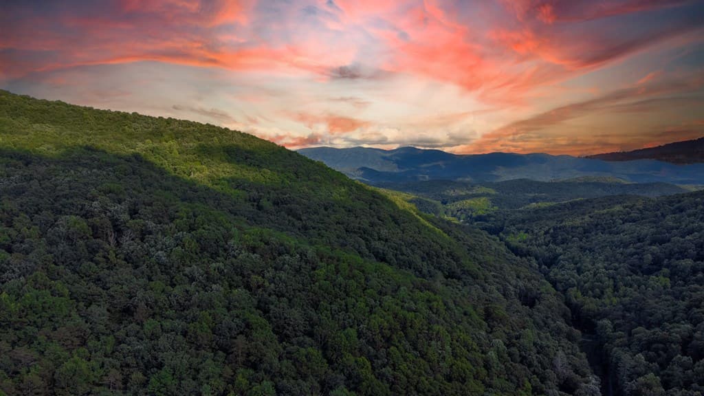 Lot 18 Cub Trail, Cherry Log GA 30522 - Photo