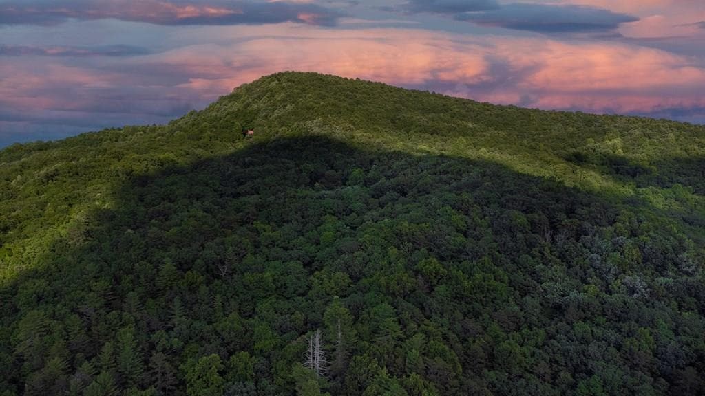 Lot 18 Cub Trail, Cherry Log GA 30522 - Photo