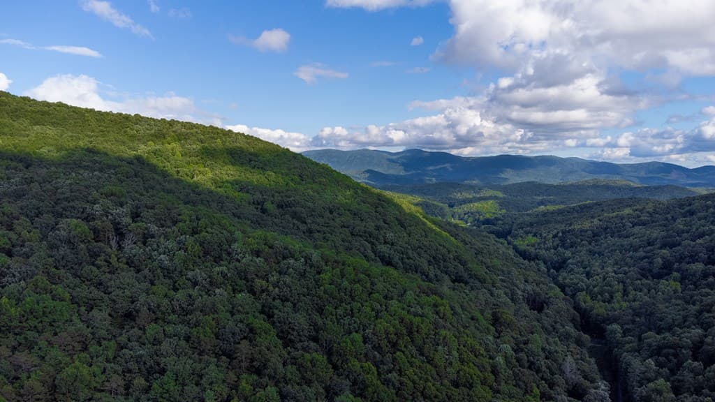 Lot 18 Cub Trail, Cherry Log GA 30522 - Photo