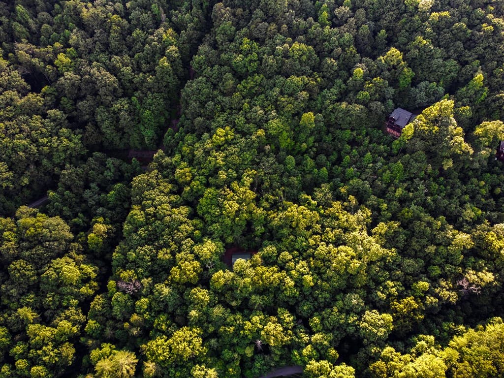 Lot 18 Cub Trail, Cherry Log GA 30522 - Photo
