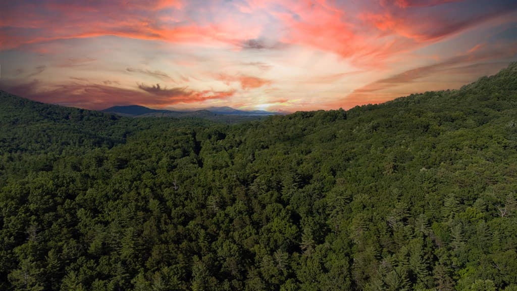Lot 18 Cub Trail, Cherry Log GA 30522 - Photo