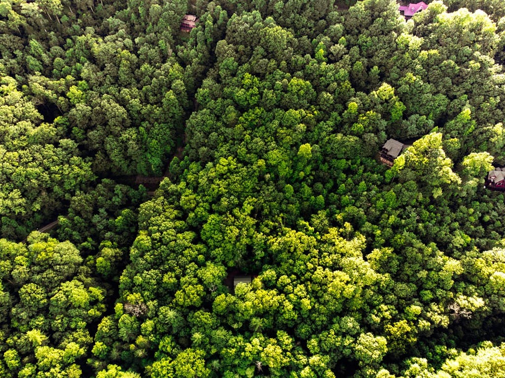 Lot 18 Cub Trail, Cherry Log GA 30522 - Photo