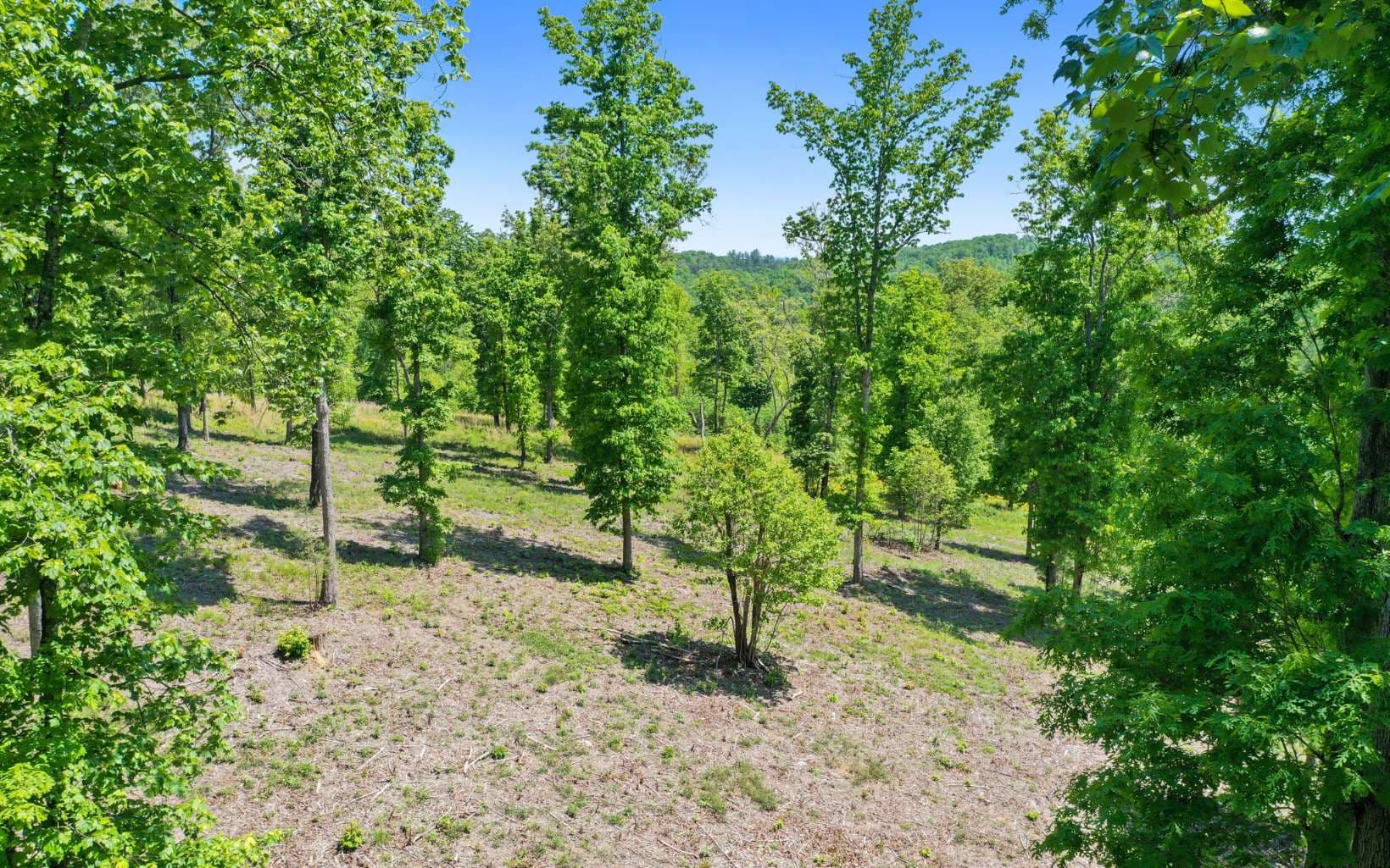 Lt27,28B Haven Way, Blue Ridge GA 30513 - Photo