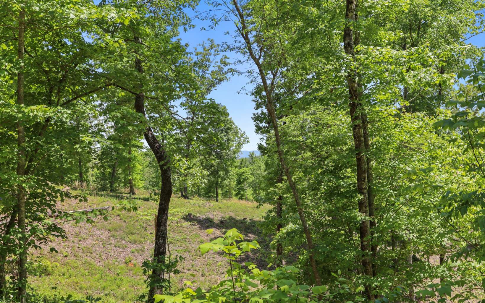 Lt27,28B Haven Way, Blue Ridge GA 30513 - Photo