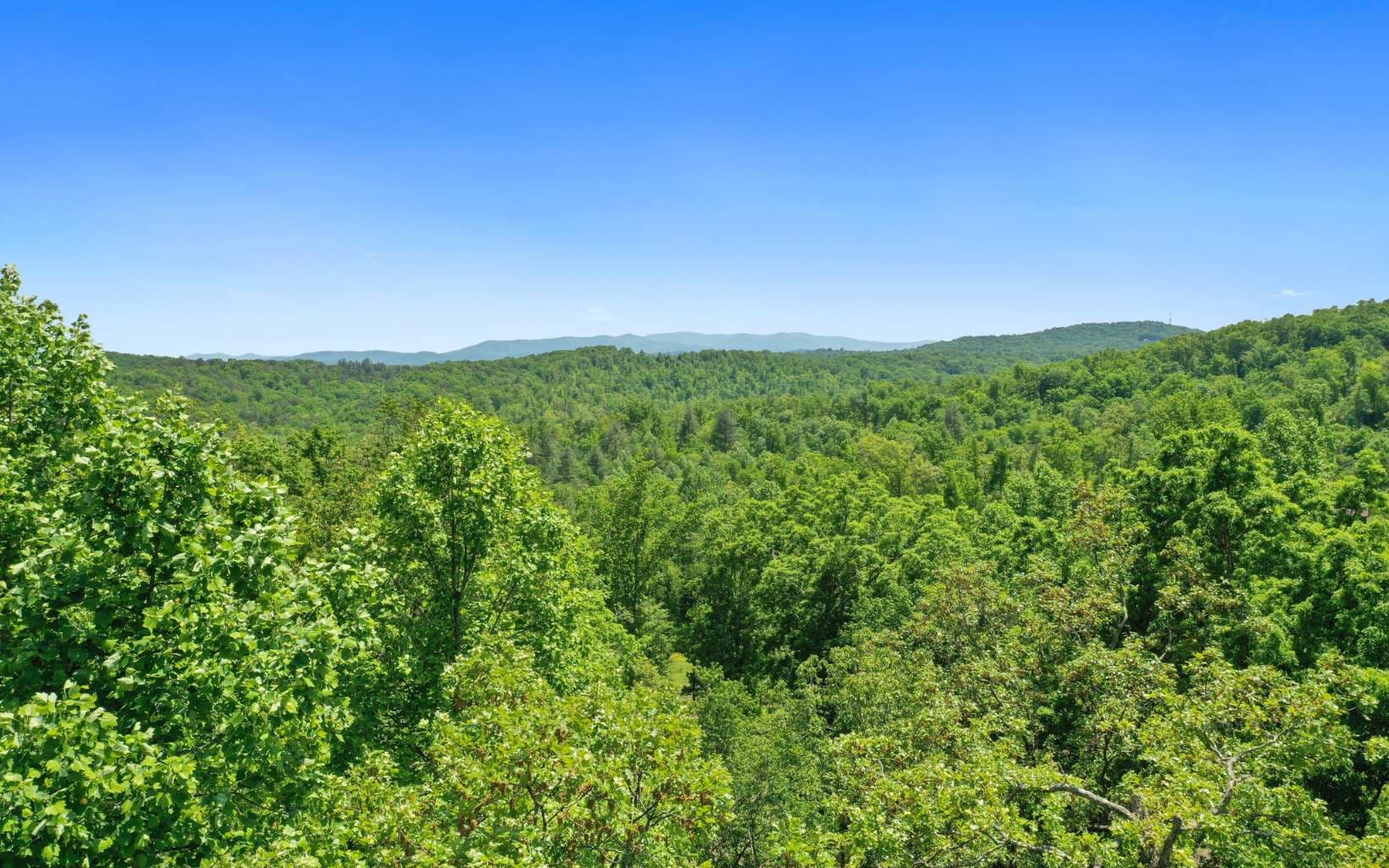 Lt27,28B Haven Way, Blue Ridge GA 30513 - Photo
