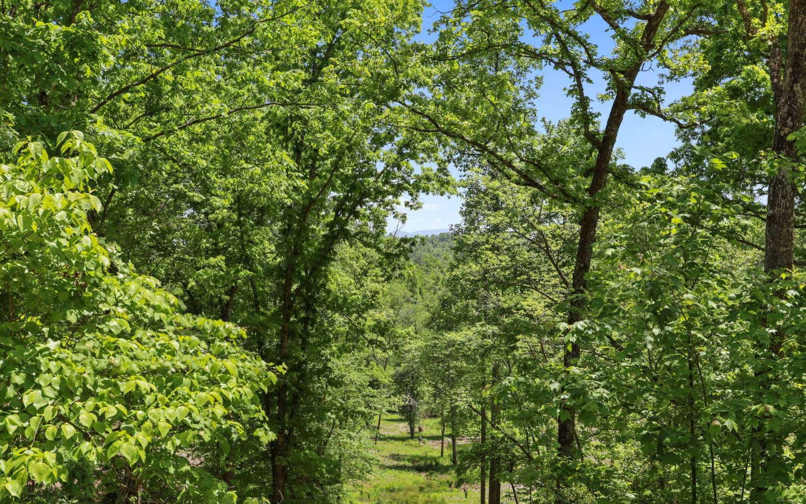 Lt27,28B Haven Way, Blue Ridge GA 30513 - Photo
