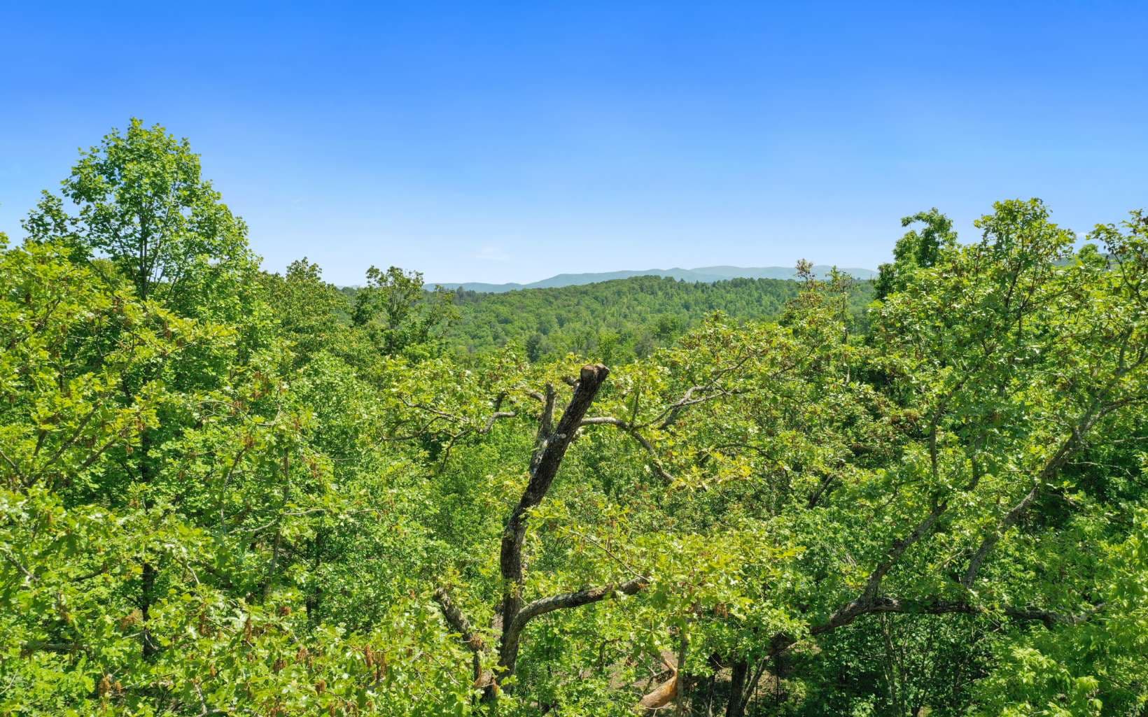 Lt27,28B Haven Way, Blue Ridge GA 30513 - Photo