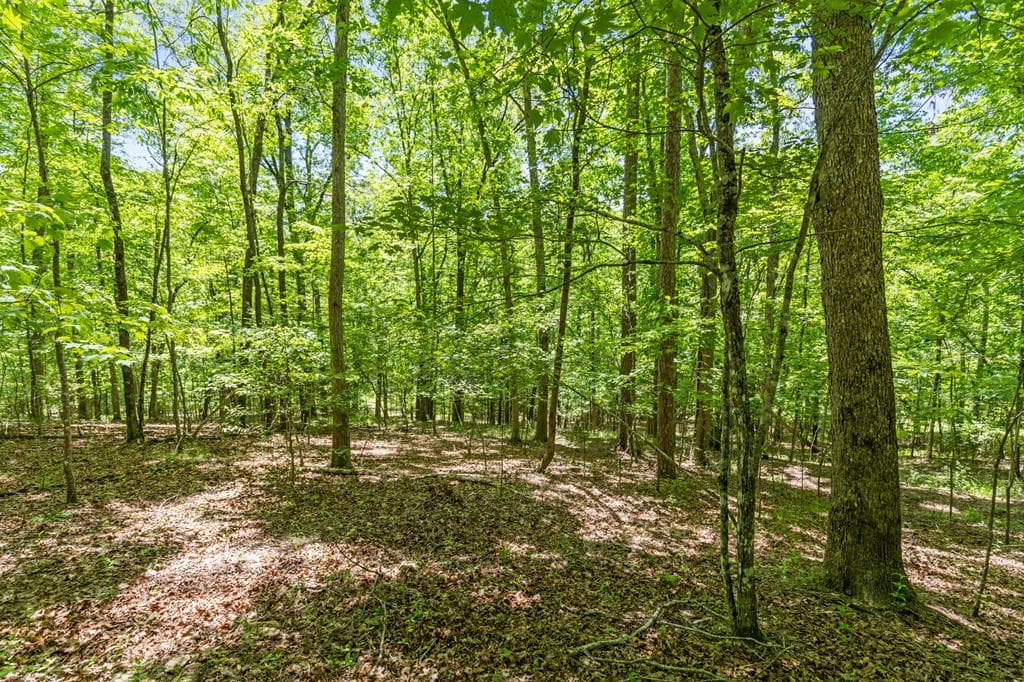 LT 16 Navajo Trail, Mccaysville GA 30555 - Photo