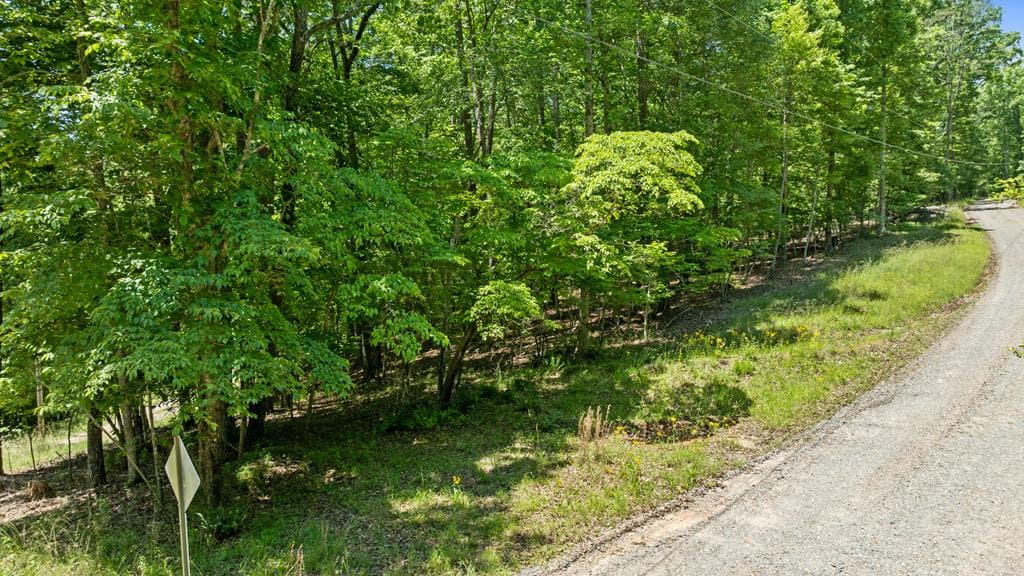 LT 16 Navajo Trail, Mccaysville GA 30555 - Photo