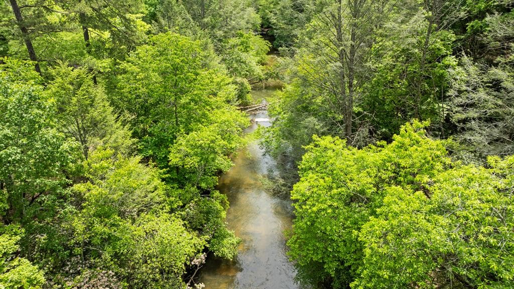 LT 16 Navajo Trail, Mccaysville GA 30555 - Photo